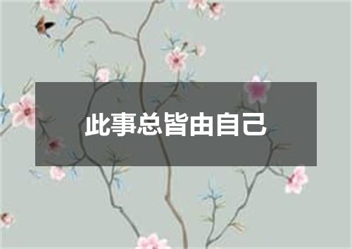 此事总皆由自己