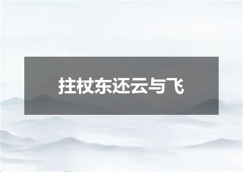 拄杖东还云与飞
