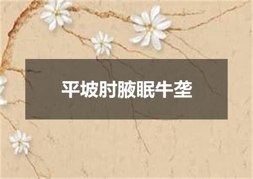 平坡肘腋眠牛垄