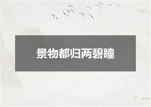 景物都归两碧瞳