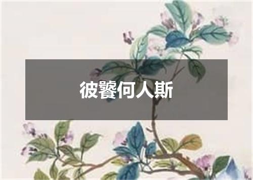 彼饕何人斯