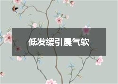 低发缓引晨气软