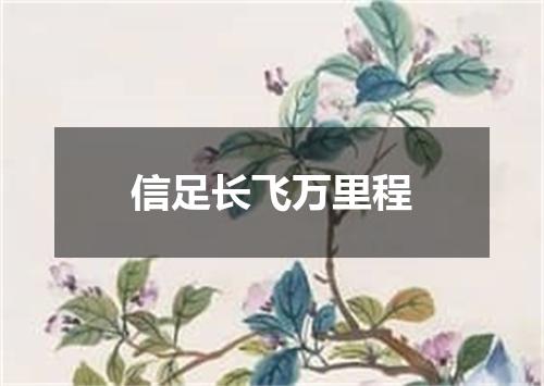信足长飞万里程