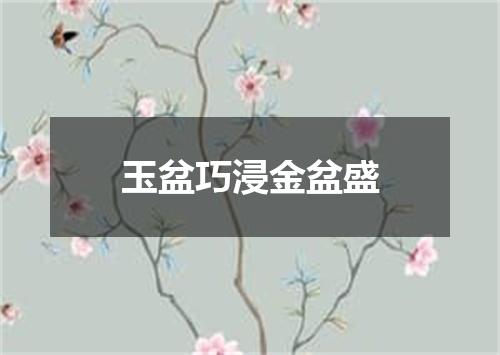 玉盆巧浸金盆盛