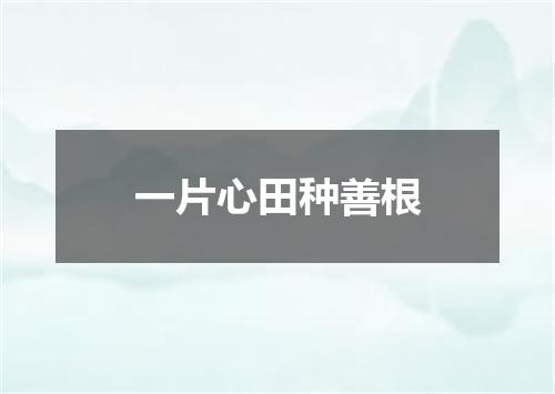 一片心田种善根