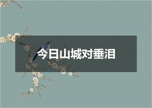 今日山城对垂泪