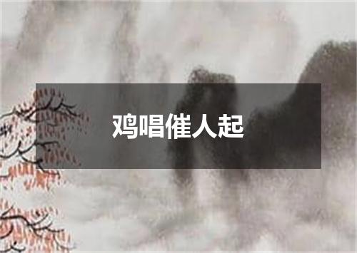 鸡唱催人起