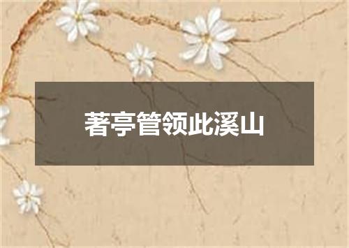 著亭管领此溪山