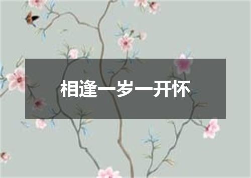 相逢一岁一开怀