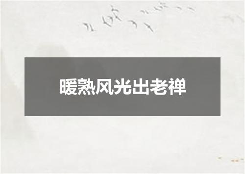 暖熟风光出老禅