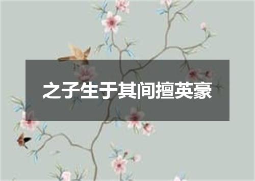 之子生于其间擅英豪