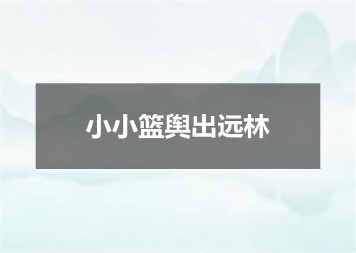 小小篮舆出远林