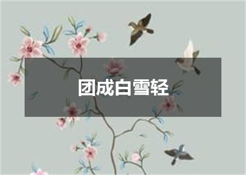 团成白雪轻