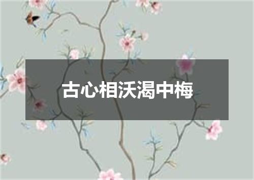 古心相沃渴中梅
