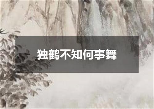 独鹤不知何事舞