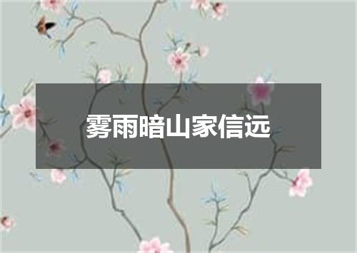 雾雨暗山家信远
