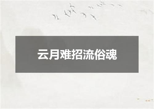 云月难招流俗魂