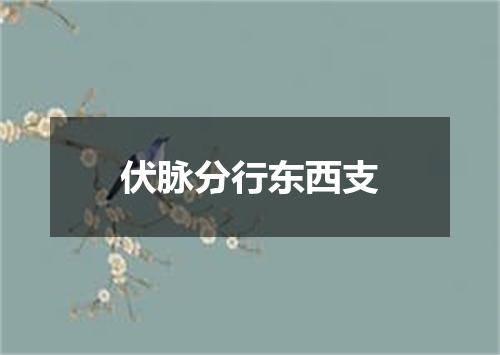 伏脉分行东西支