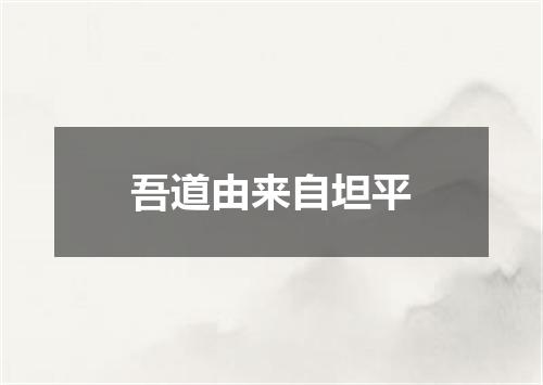 吾道由来自坦平