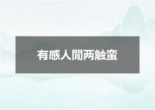 有感人閒两触蛮