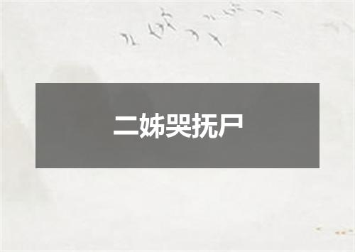 二姊哭抚尸