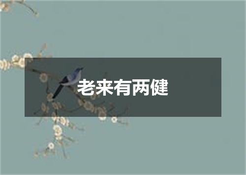 老来有两健
