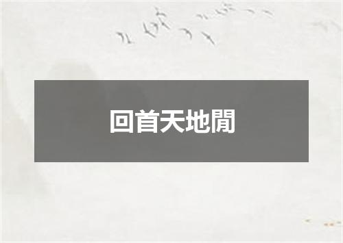 回首天地閒