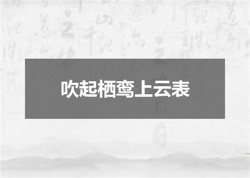 吹起栖鸾上云表