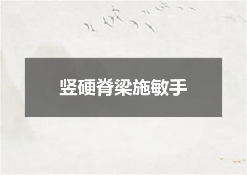 竖硬脊梁施敏手