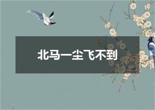 北马一尘飞不到