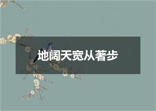 地阔天宽从著步