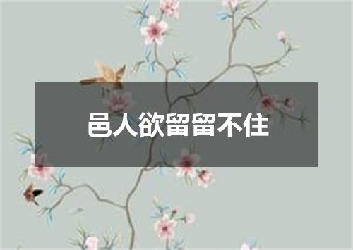 邑人欲留留不住