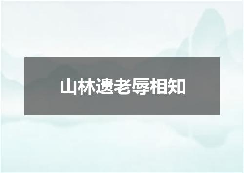 山林遗老辱相知