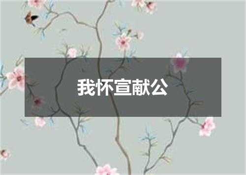 我怀宣献公