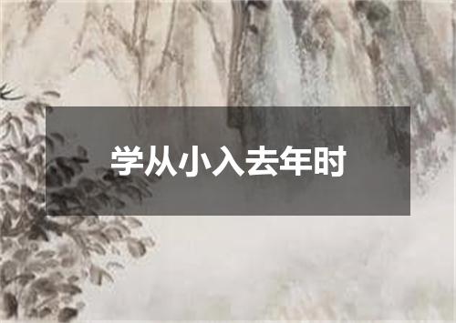 学从小入去年时