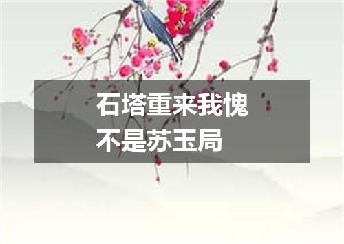 石塔重来我愧不是苏玉局
