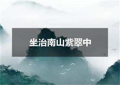 坐治南山紫翠中