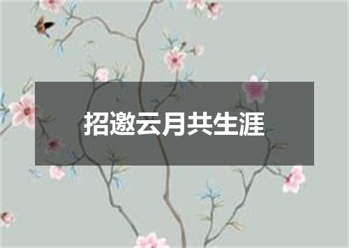 招邀云月共生涯