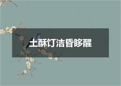 土酥饤洁昏眵醒