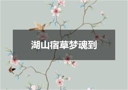 湖山宿草梦魂到