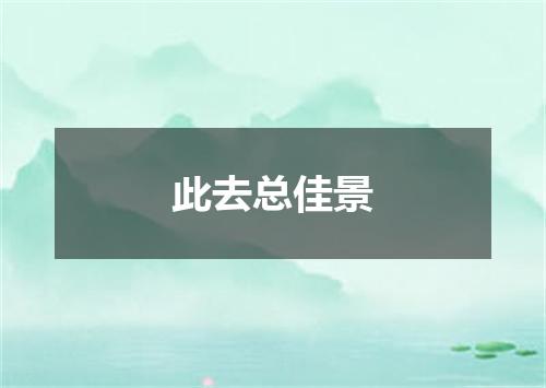 此去总佳景