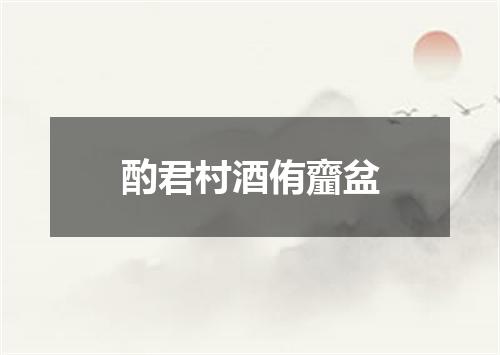 酌君村酒侑齏盆