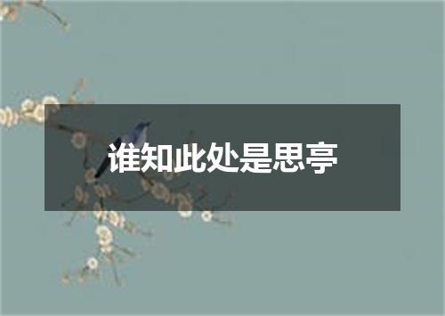 谁知此处是思亭