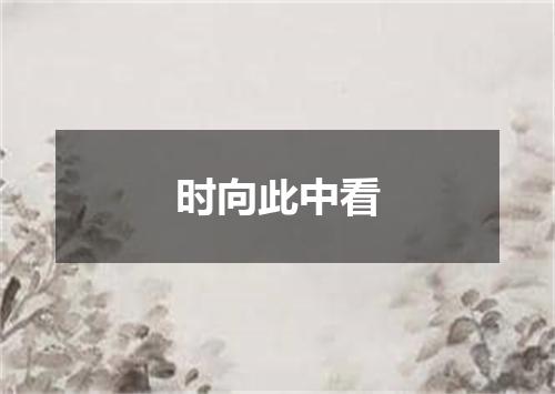 时向此中看