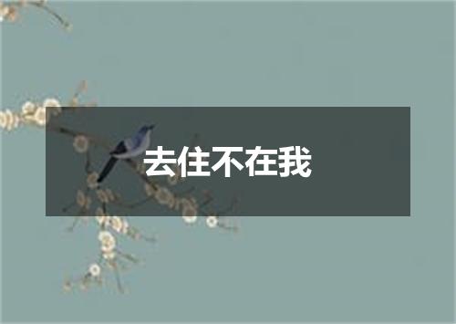 去住不在我