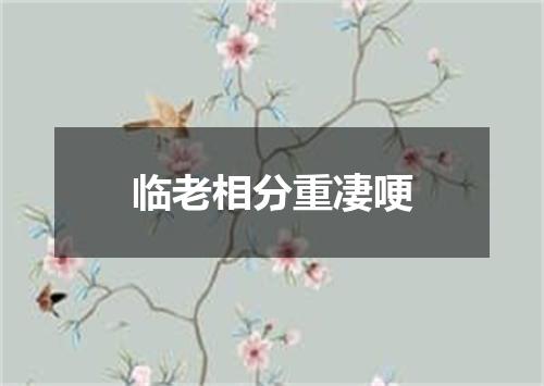 临老相分重凄哽