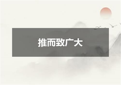 推而致广大