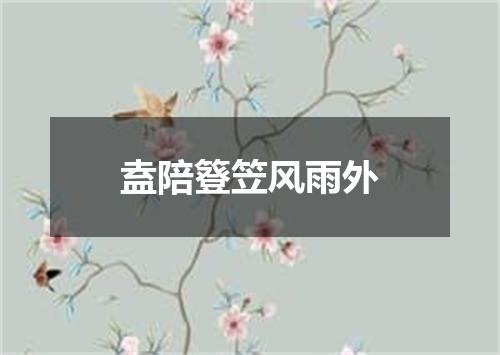 盍陪簦笠风雨外
