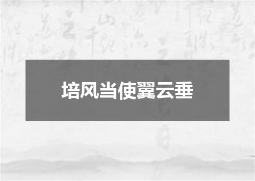 培风当使翼云垂