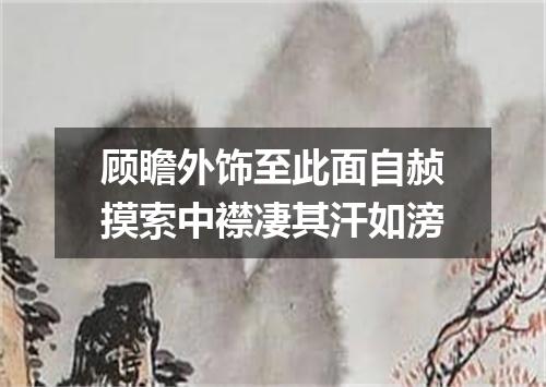 顾瞻外饰至此面自赪摸索中襟凄其汗如滂
